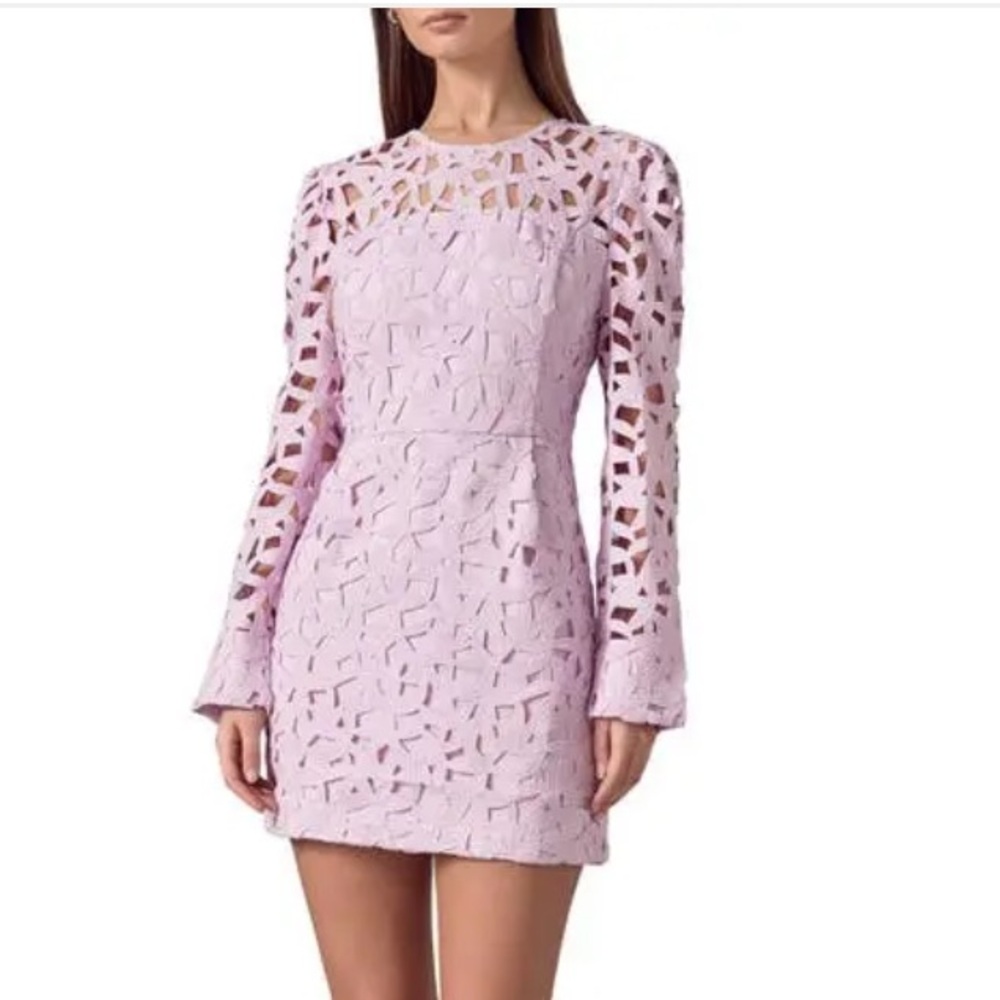 ENDLESS Rose 🌹 NWOT Floral Lace Mini Dress